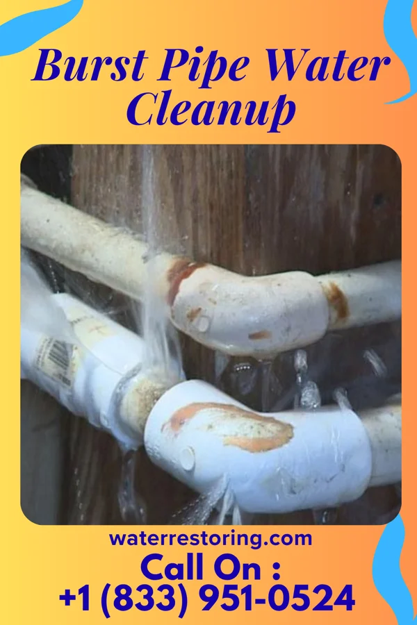 Burst Pipe Water Cleanup in North Hurley, NM